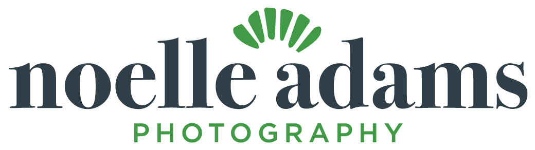 Noelle Adams Photography
