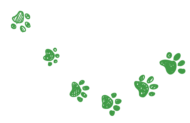 dog paw prints