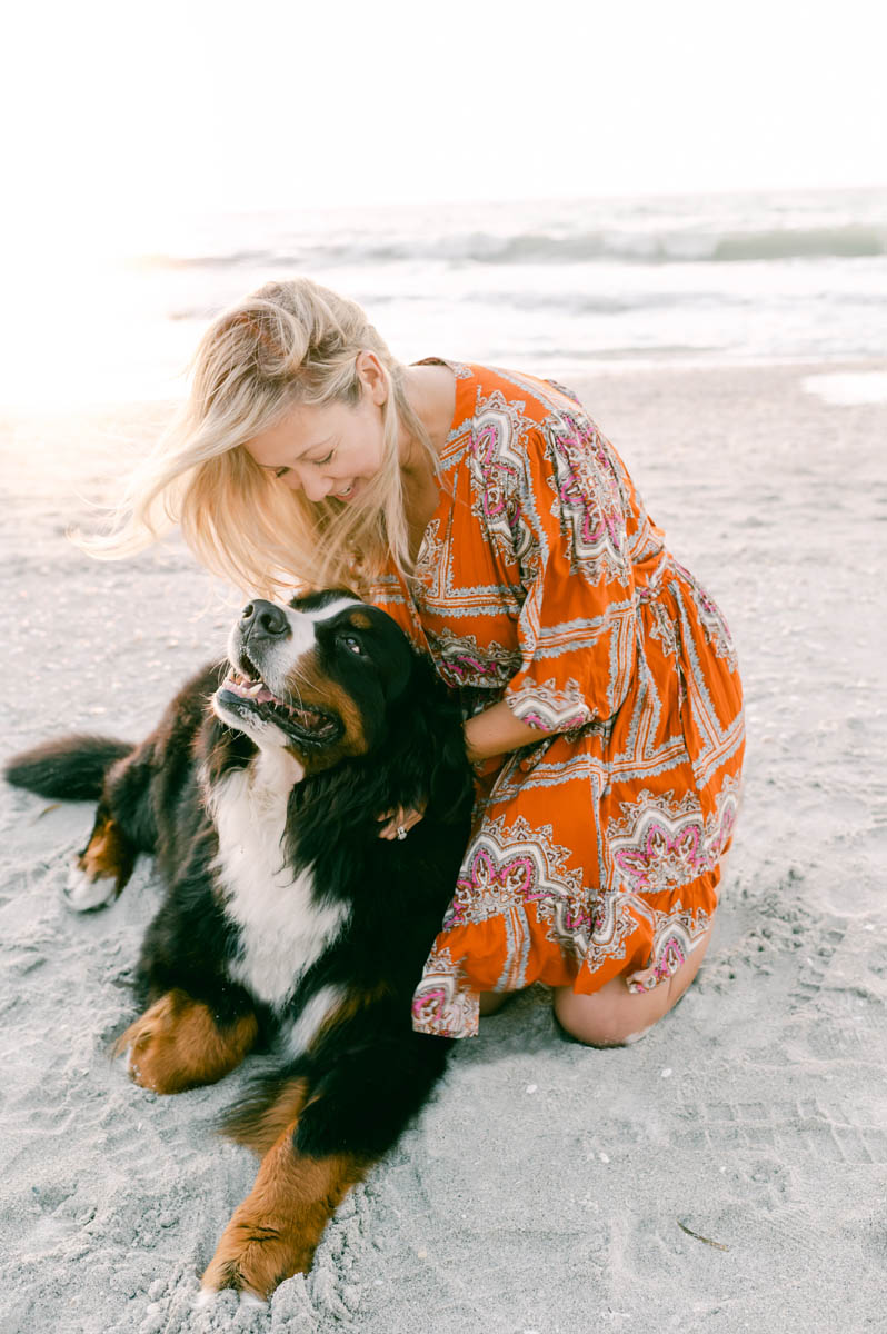 bernese mountain dog beach