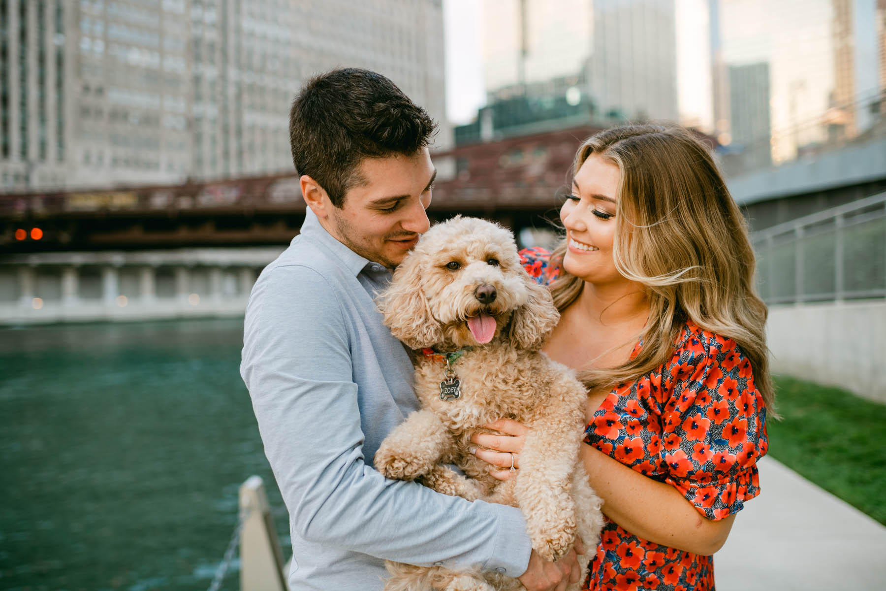 Dog Engagement