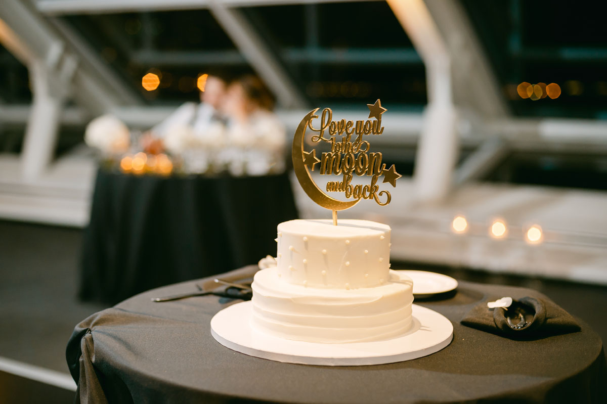 Adler Planetarium wedding cake