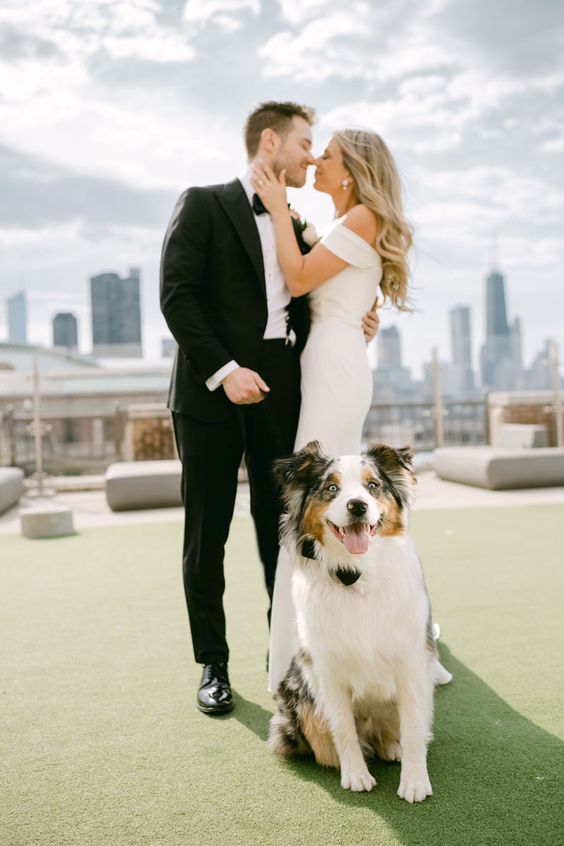 dog wedding offshore rooftop wedding