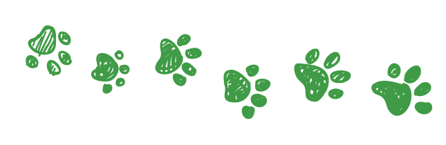 paw prints