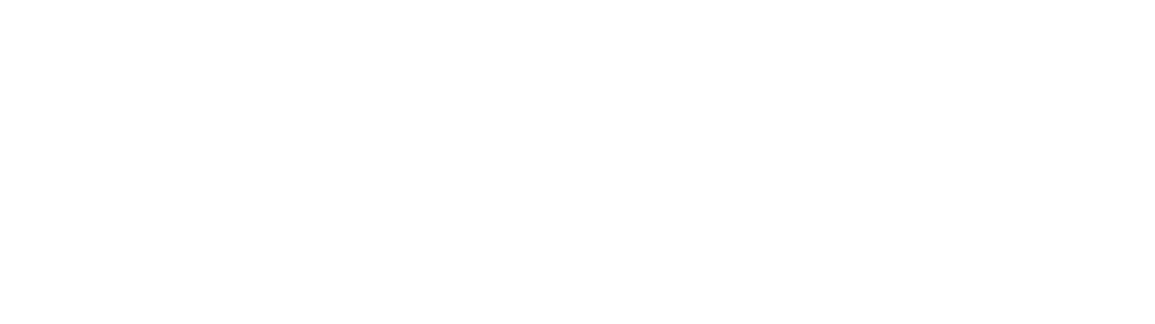 Noelle Adams Photography | Chicago Wedding Photographer