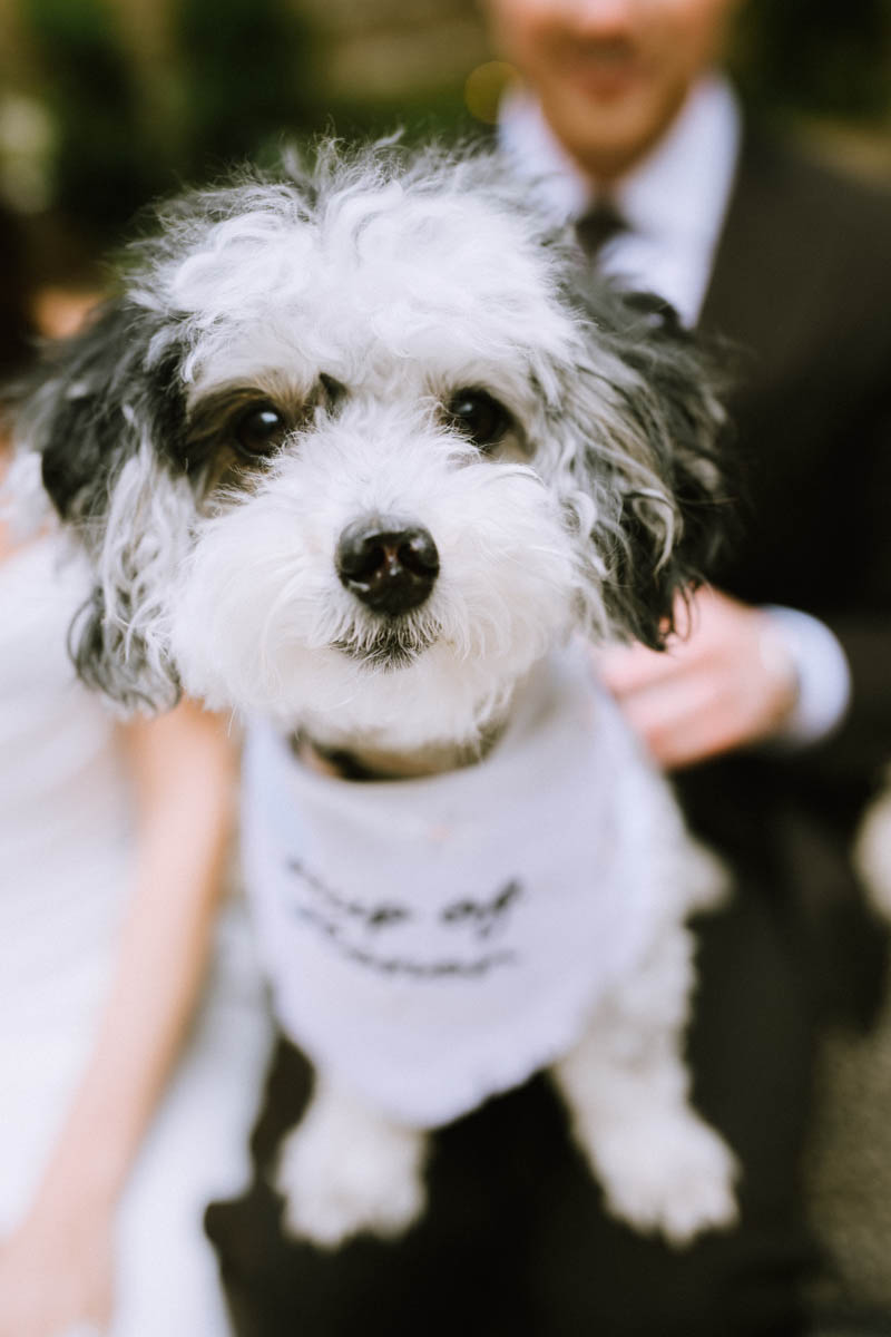 light and bright dreamy Elske wedding