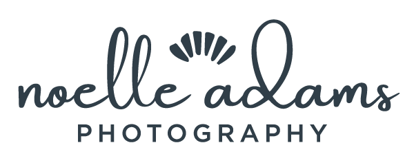 Noelle Adams Photography | Chicago Wedding Photographer
