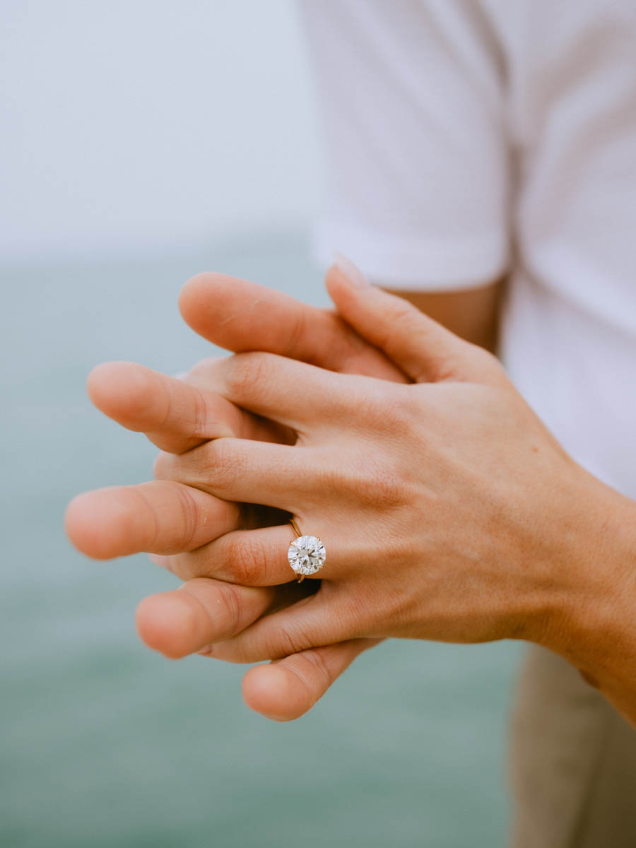 North Avenue Beach Proposal true color photographer