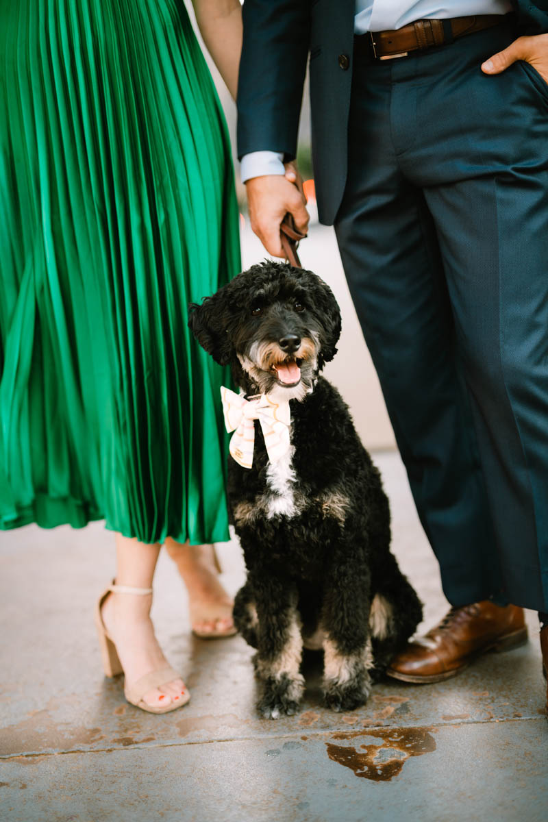 Chicago engagement photos with the couple and their dog in a green dress and suit