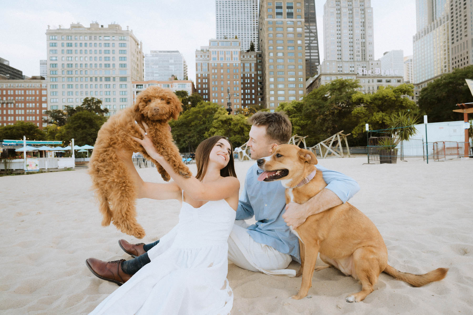 Dogs and couple on Oak Street Beach