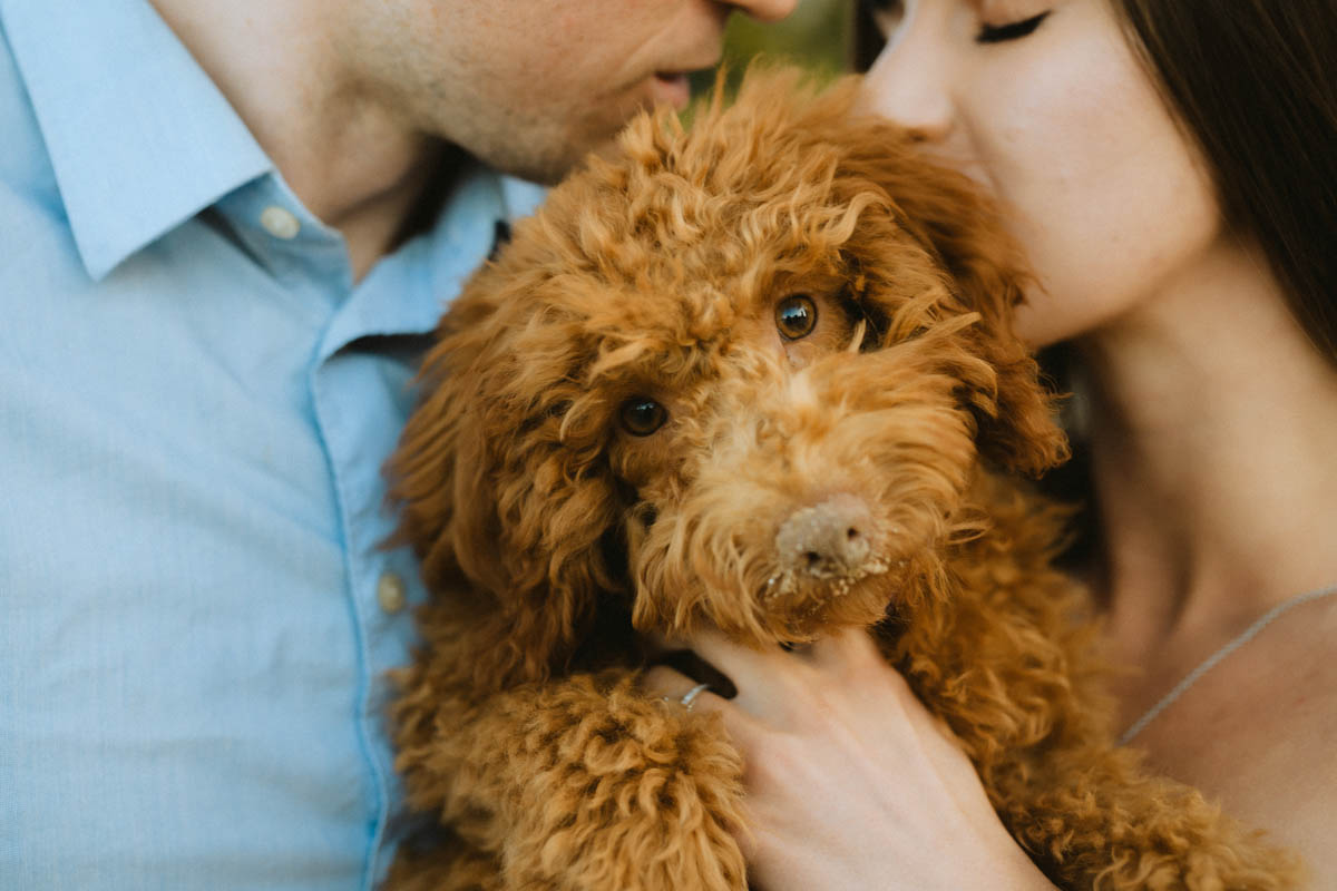 Close-up with puppy